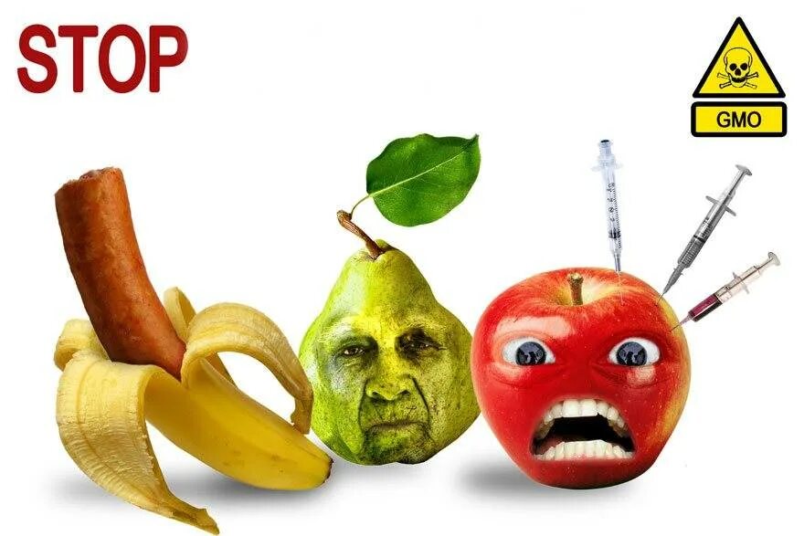 Генетически модифицированные люди. Генномодифицированные продукты. опасность гмо. гмо в продуктах питания. угрозы гмо.