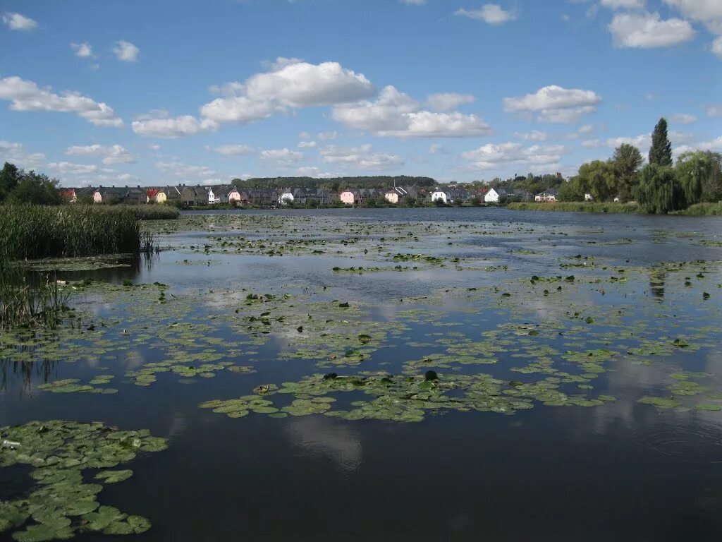 Васильков сейчас