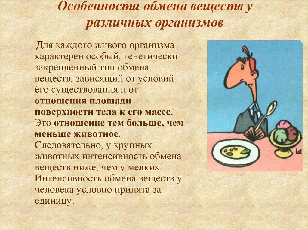 Основные показатели обмена веществ у животных. Основные показатели обмена веществ у животных