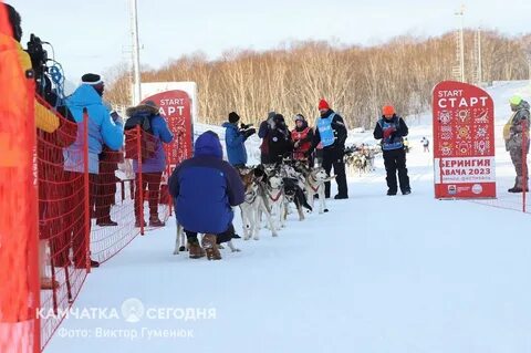 Открытие камчатки русскими