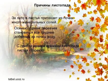 Осенний листопад какой фактор