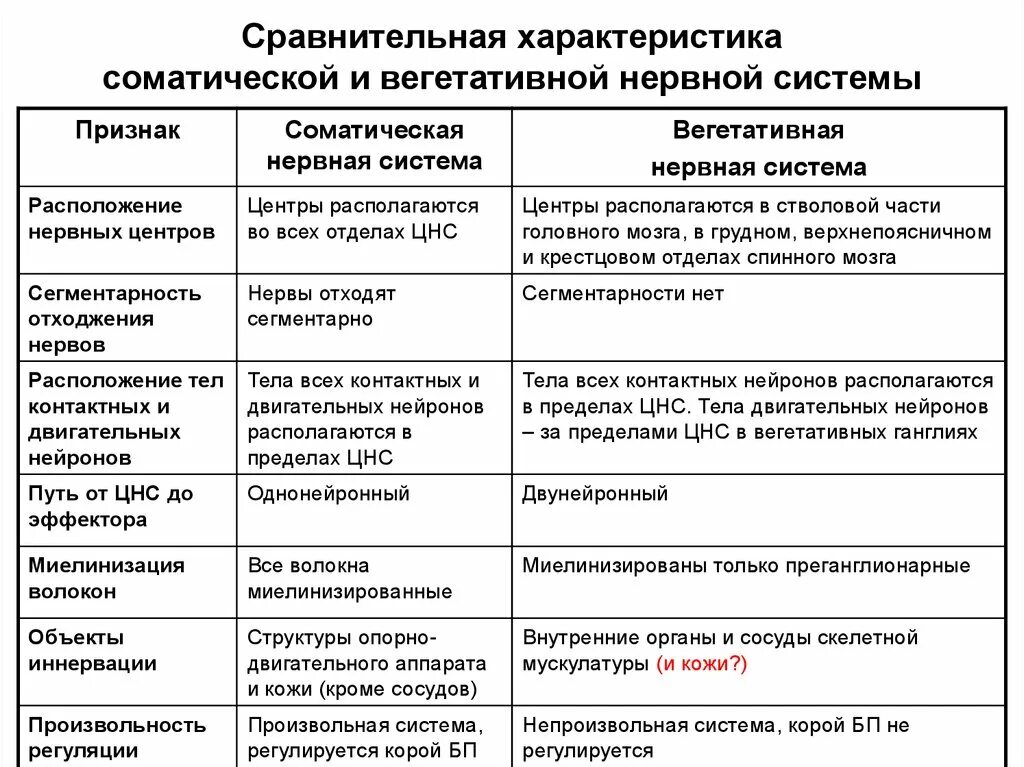 Таблица сравнения вегетативной нервной системы. Сравнительная характеристика вегетативной и соматической нервной. Отделы вегетативной нервной системы таблица. Характеристика отдела вегетативной нервной системы таблица. Признаки местоположение