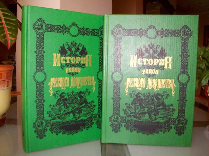 Книга истории рода. История родов русского дворянства книга. История рода книга. Род это в истории. Альбом история нашего рода.