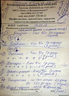Паглюферал 3 инструкция