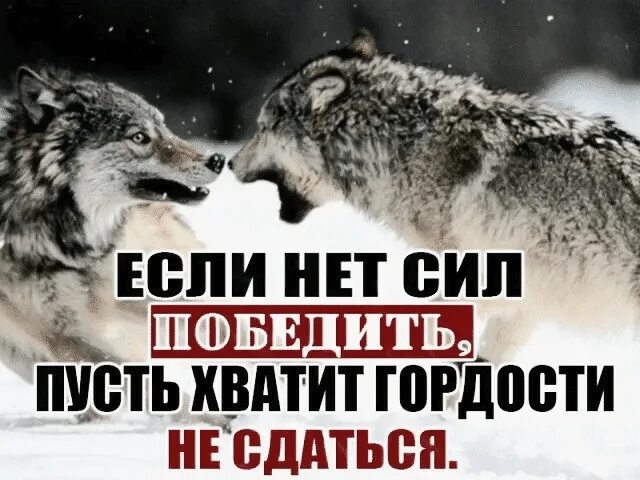 Музыка дай ему сил чтобы он победил. Если нет сил победить пусть. А если сил не хватит победить. Если нет сил победить пусть хватит гордости не сдаться.