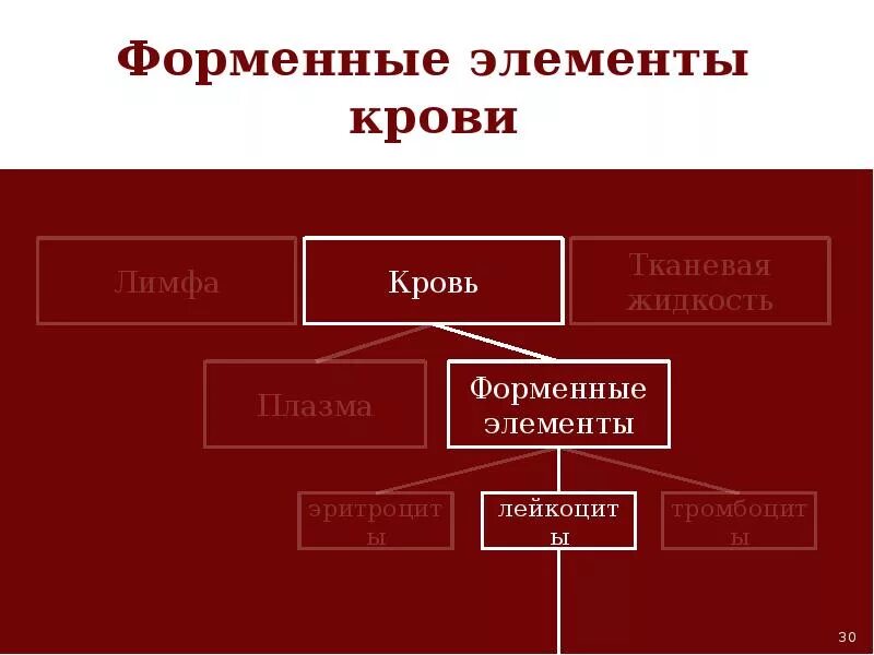 Плазма это форменный элемент. Форменные элементы лимфы. внутренняя среда организма кровь тканевая жидкость лимфа.