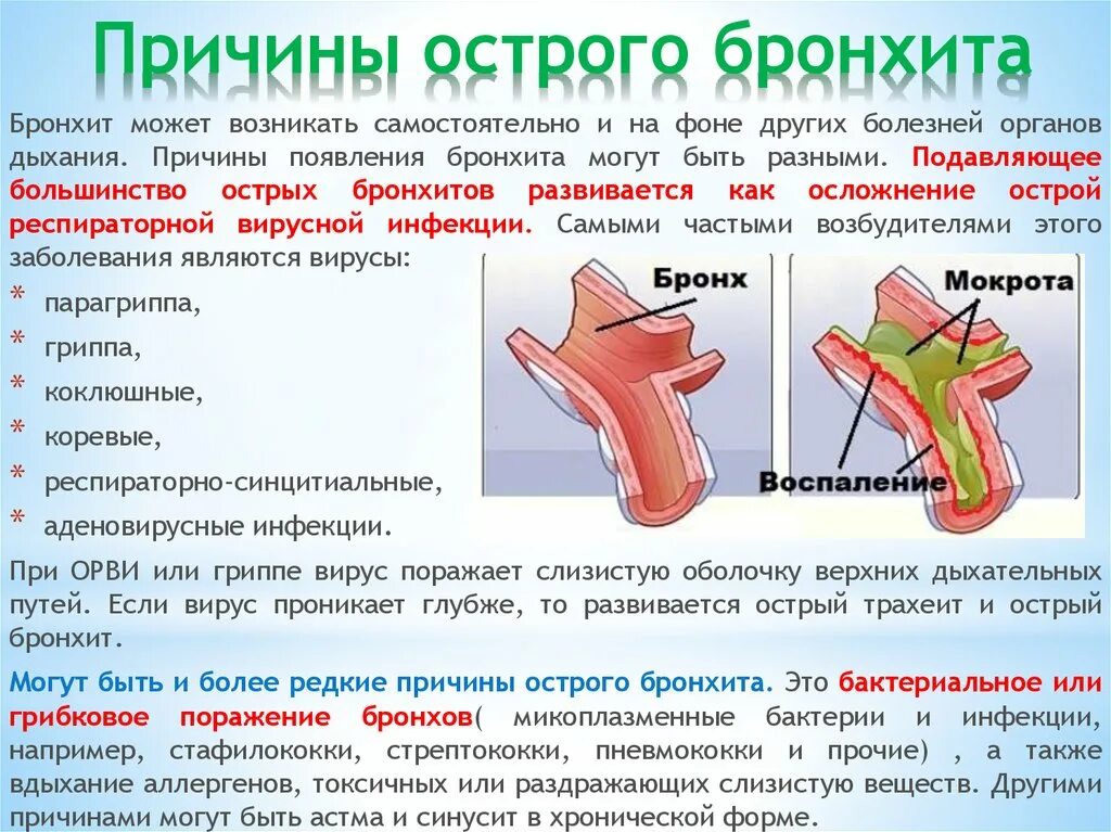 Основная причина бронхита. Памятка по профилактике бронхита у детей. Острый бронхит причины возникновения. Причины развития острого бронхита.