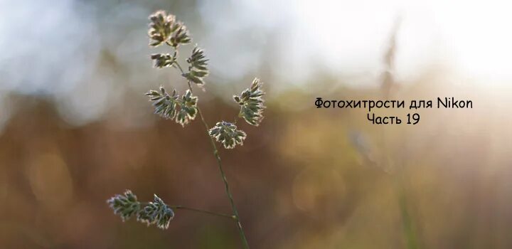 February 2011 Happy