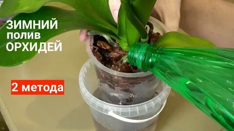 Как поливать зимой