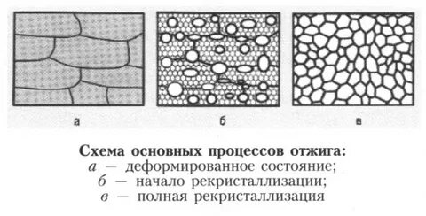 Процесс образования зерна