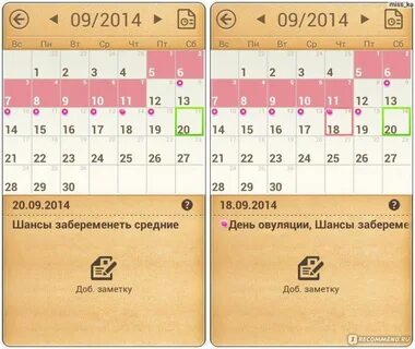 Можно ли забеременеть от предсеменной