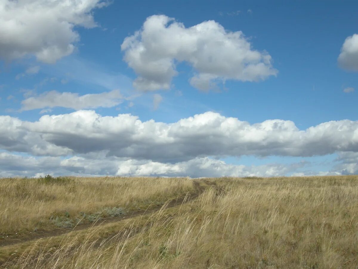 Межегей степь. Азовские степи. Окружающее степь. Степь рисунок для 4 класса. Мильская степь.