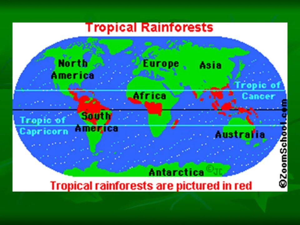 Тропикал Раинфорест. Where are Rainforests. Where the Rainforest is. Rainforests география.