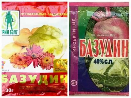 Базудин