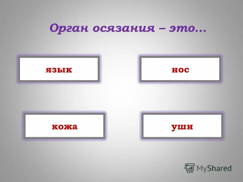 тест организм человека 3 класс с ответами.