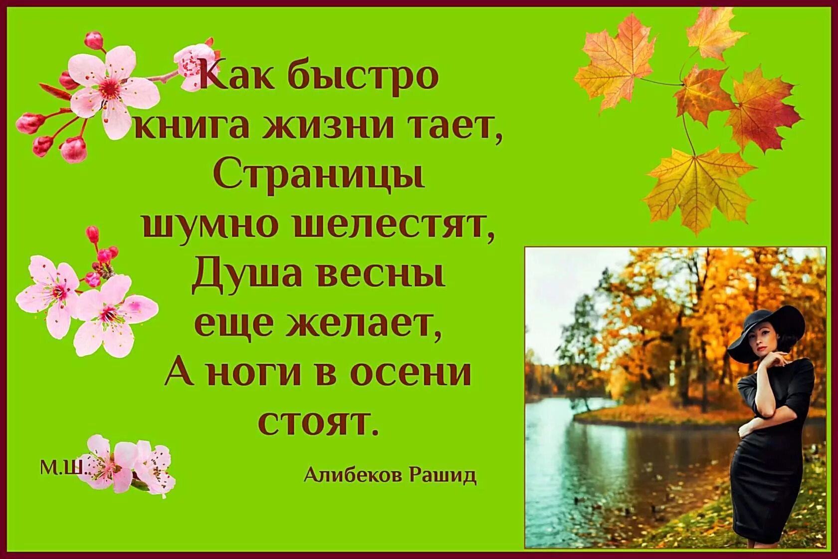 Растаяла жизнь. Книга весны и осени. Осень и женщина очень похожи. Как быстро книга жизни тает. Как быстро книга жизни тает стихи.