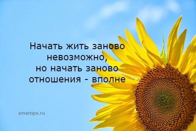 Начать заново отношения с бывшим. Начать отношения с начала. Начать сначала отношения. Отношения заново. Давай обнулимся и начнем все сначала.