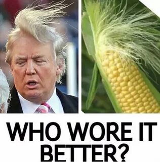 Trump meme