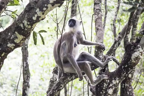 Alone with wildlife