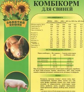 Можно давать комбикорм поросятам