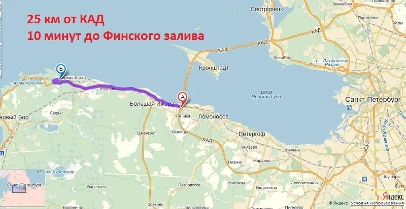 сестрорецк старая деревня завтра