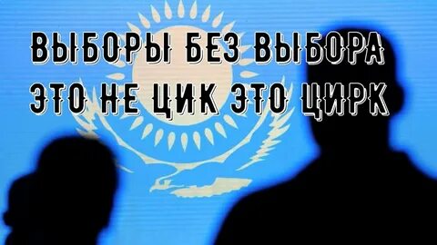 Выборы цирк
