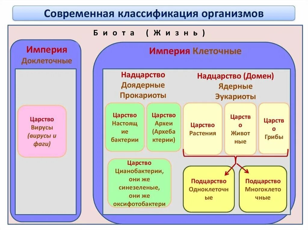 Классификация признаков организма