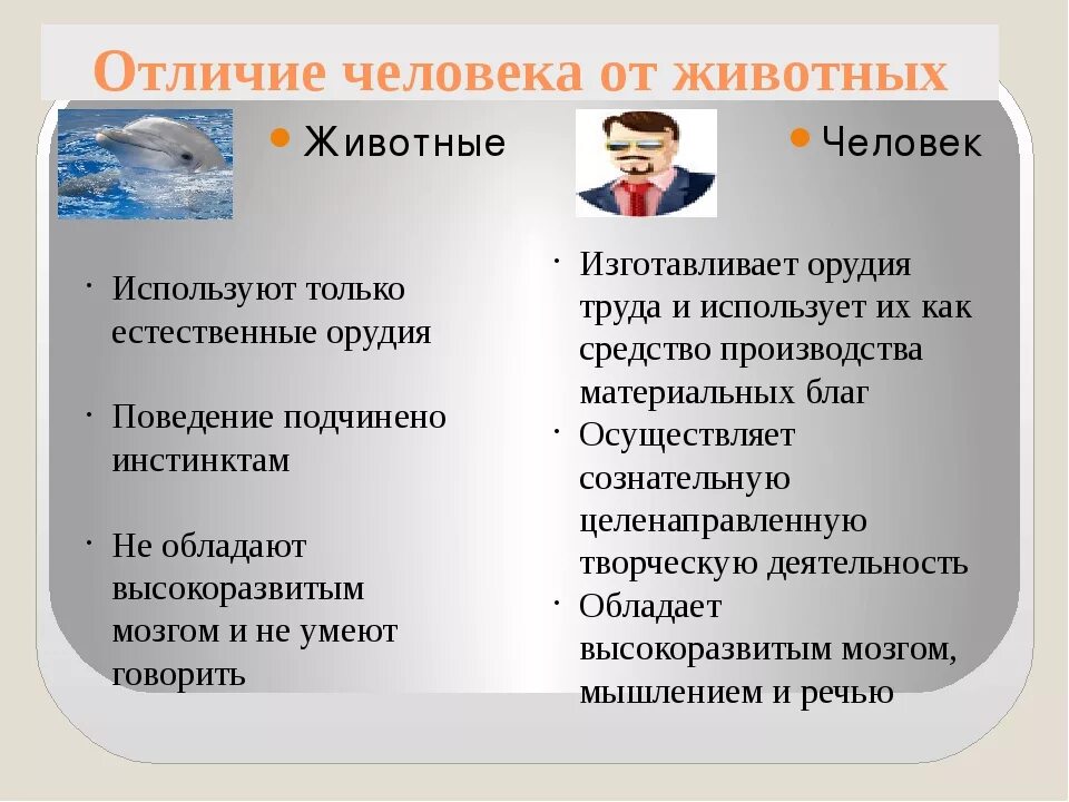 Отличие народа. Различие человека от животного. Признаки отличающие человека от животного. Социальные отличия человека от животного. Рассказ чем человек отличается от животного.