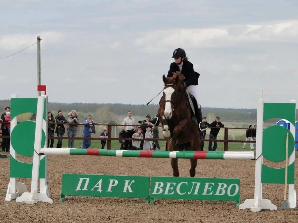 Веслево переславль. Парк веслево в переславль-залесском. парк веслево переславль. веслево парк отдыха переславль. переславль-залесский конная ферма веслево.