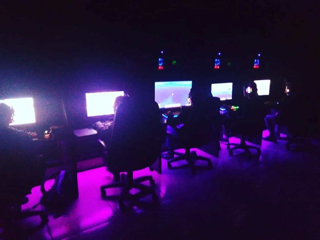 Интернет 51. Интернет 51. Отличная мебель 51 мурманск. Интернет 51. Мурка и бобик.