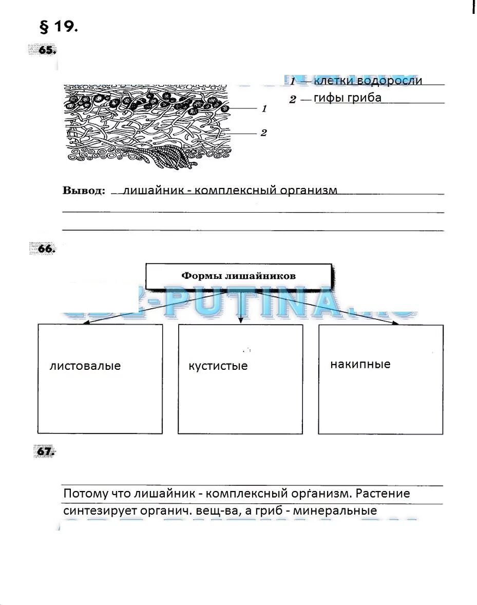 5 класс биология рабочая тетрадь параграф 15. Биология 5 класс Пасечник таблицы. Таблица лишайники 5 класс биология. Формы лишайников схема.