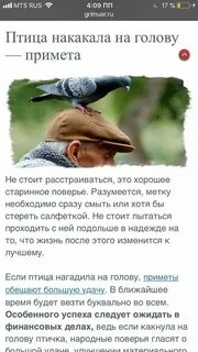 Приметы птичка накакала на руку
