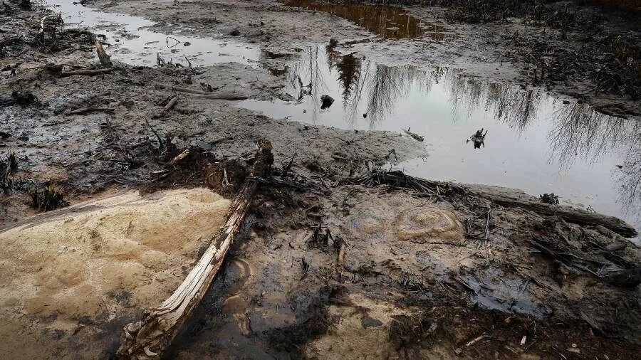 Почему загрязнение нефтью самое опасное. Почему загрязнение нефтью самое опасное