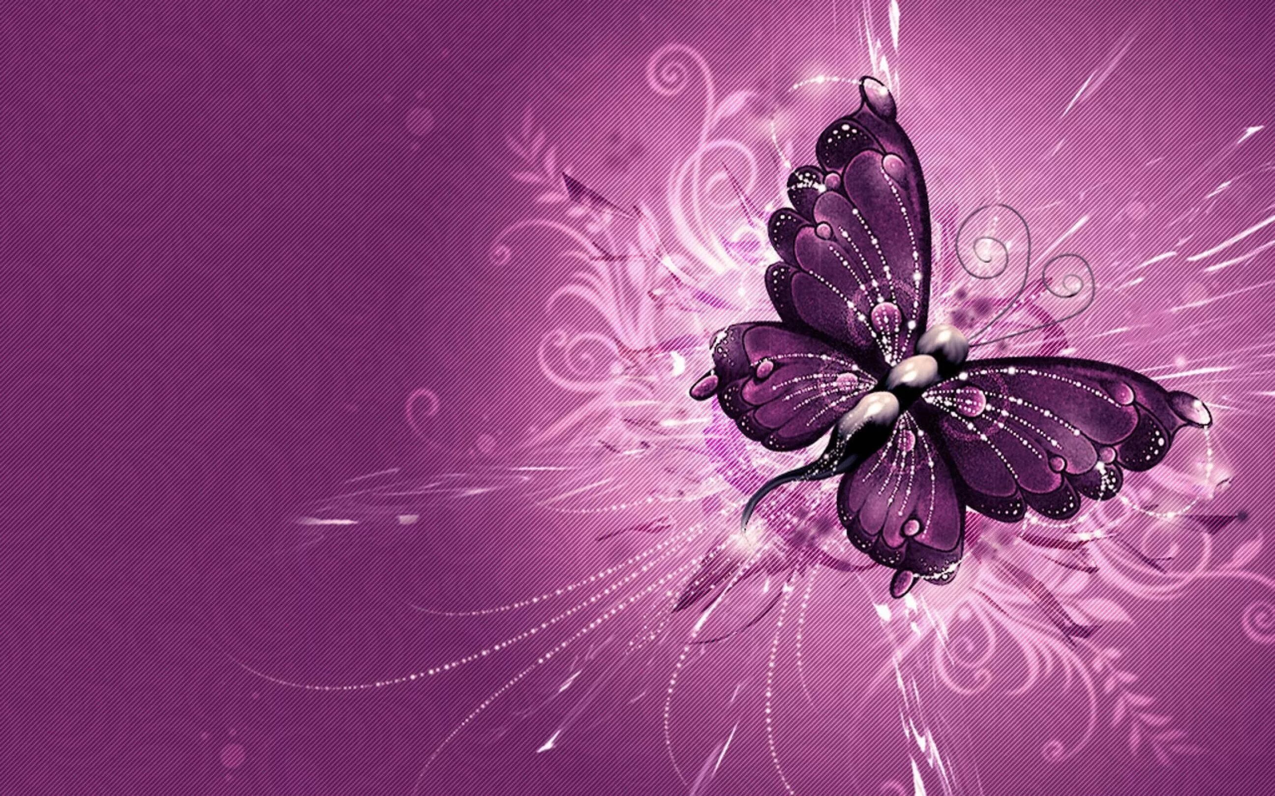 На вайбер красивую открытку. Обои с бабочками. Красивый фон с бабочками. Бабочка фиолетовая. Заставка бабочки.