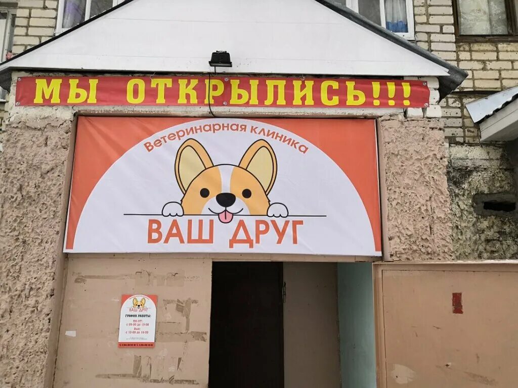 ваш друг омск. ваш друг омск.