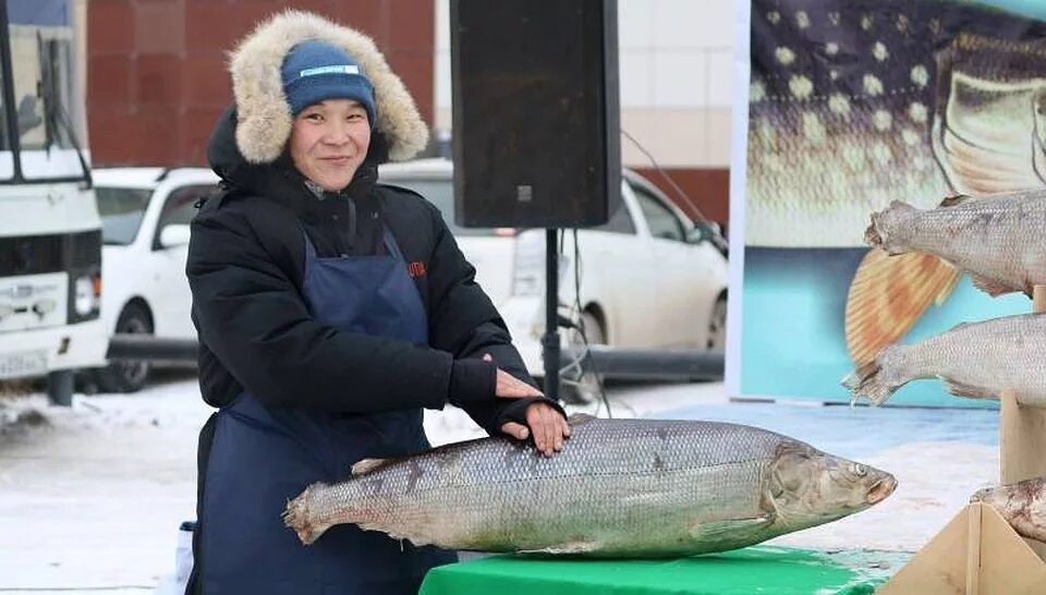 Якут рыба. Рыбы Якутии. Якутская рыба. Рыба в Якутске. Большая рыба в Якутии.