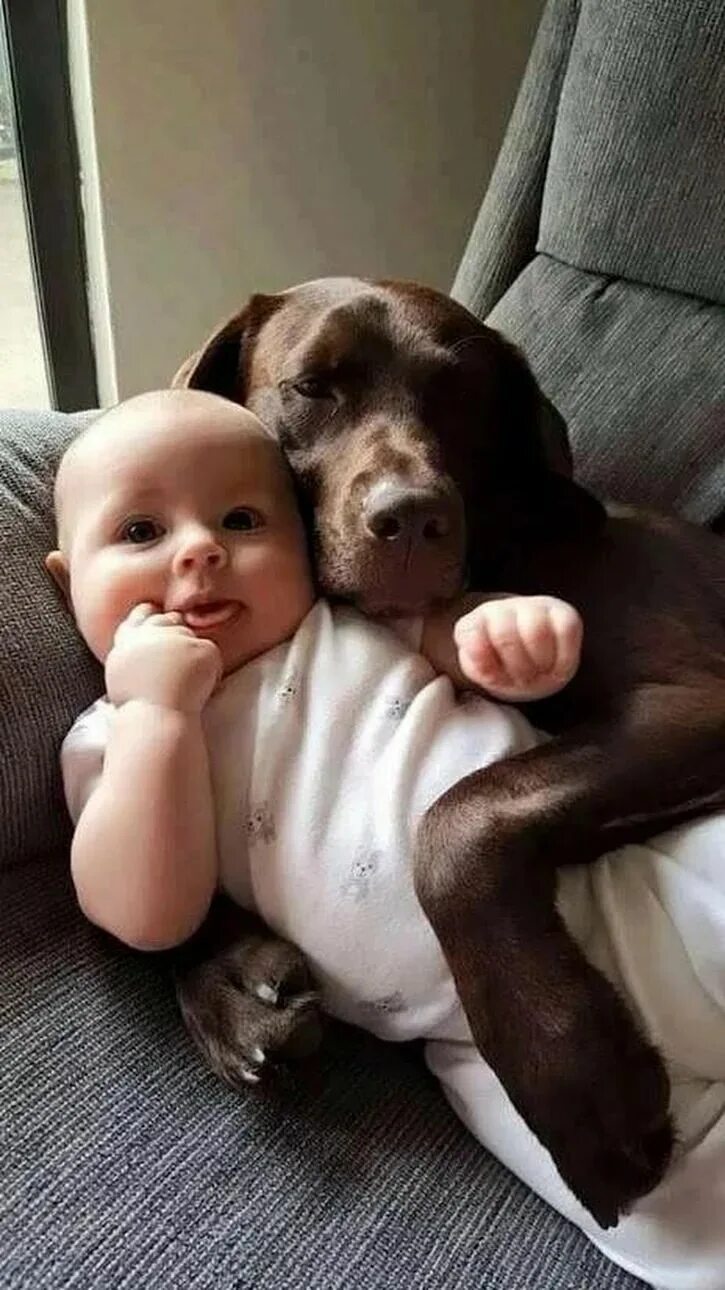 Как выглядит ребенок от собаки Amazing Photos Of Animals Still In The Womb Page 13 Baby animals, Baby puppies