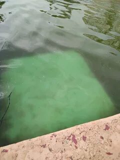 Вода воняет оренбург