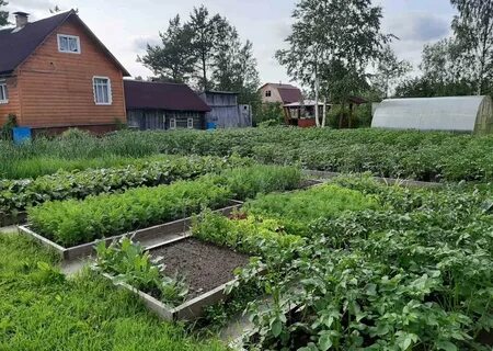 Участок садовод любитель