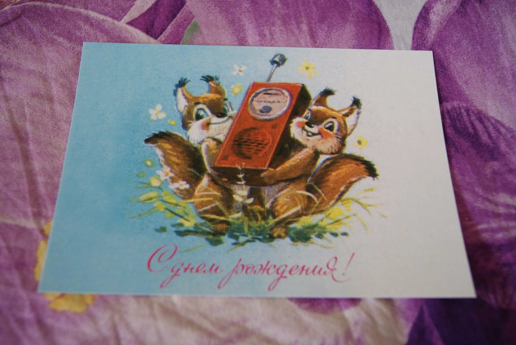 Открытки зарубина с днем рождения. Зарубин открытки с днем рождения. Белка советские открытки. Открытка с днём рождения с белкой. Открытка с белочкой с днем рождения.