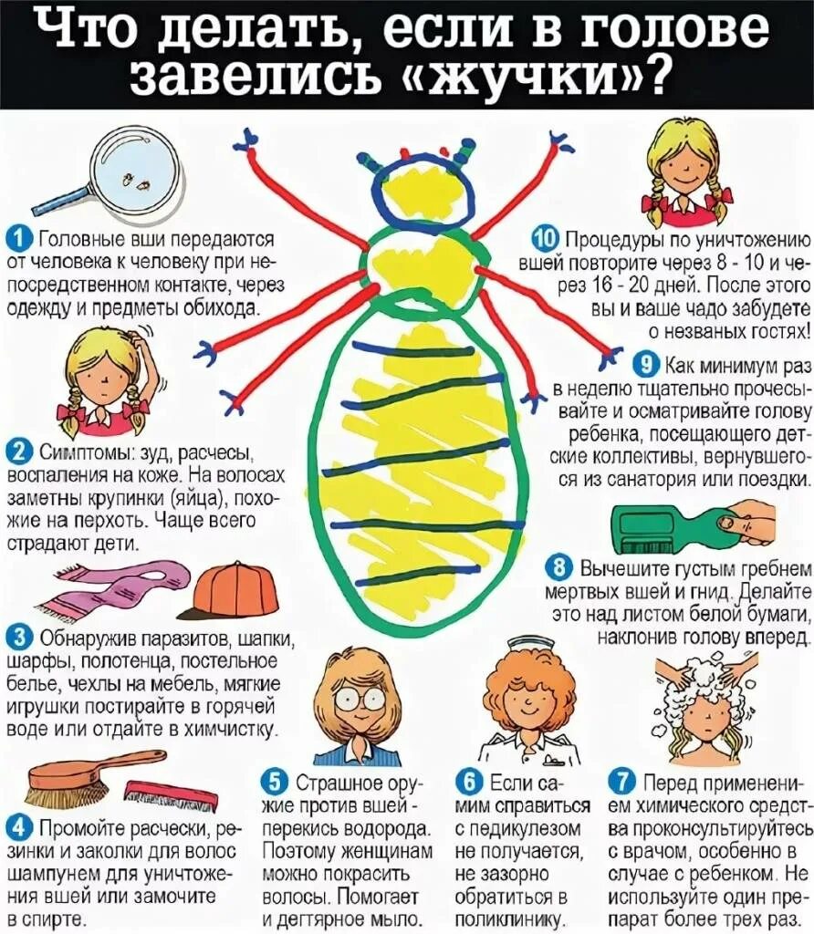 Педикулез профилактика у детей в саду. Профилактика чесотки и педикулеза. Санбюллетень чесотка и педикулез. Профилактика педикулеза памятка. Гнешь что делая