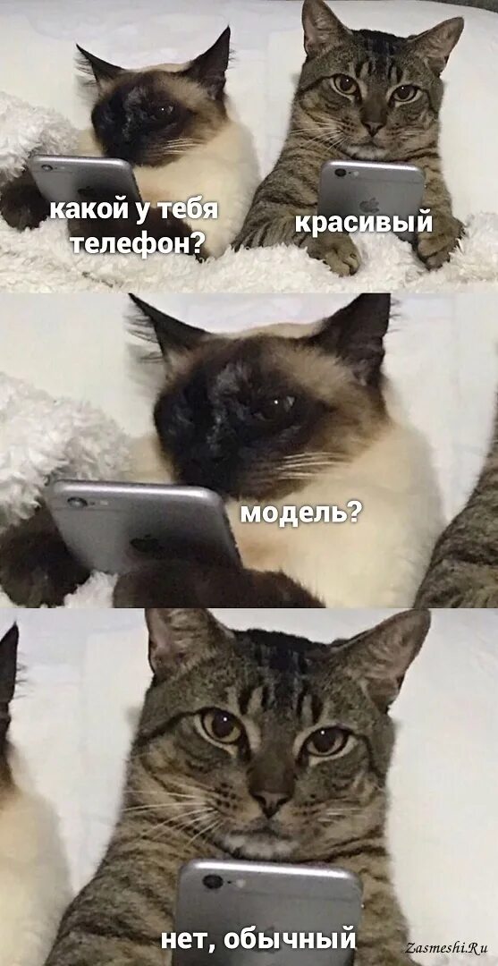 Доктор ватсон мемы. Не понимает вопрос где. Прикольные ответы. Вопрос-ответ. Не понимает вопрос где.