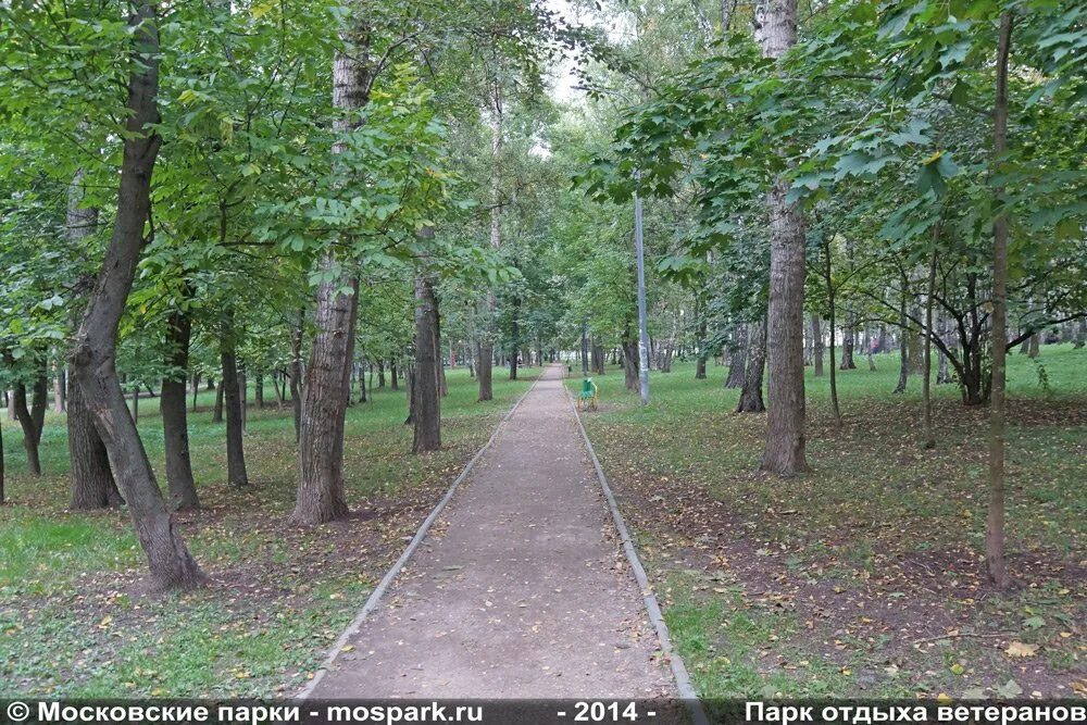 Парк ветеранов москва. Проект парка ветеранов вологда. Парк ветеранов калининград. Парк ветеранов имени киквидзе. Парк ветеранов москва.