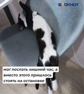 С утра повезло с