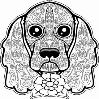 Color dog