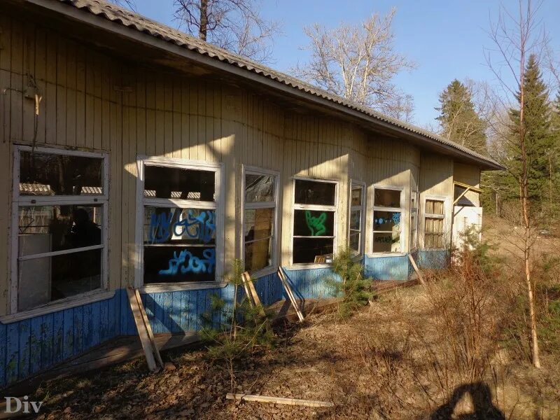 заброшенный лагерь юный связист. лагерь сестрорецк. лагерь юный ленинец сестрорецк. заброшенный лагерь сестрорецк. район разлив (сестрорецк) санкт-петербург.