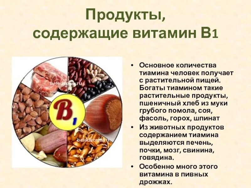 Содержание в продуктах витамина в 1. Тиамин витамин в1 источники продукты. Витамин в1 тиамин продукты содержащие. Где содержится тиамин витамин в1. Витамин в1 тиамин содержится в.