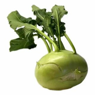 Капуста коль