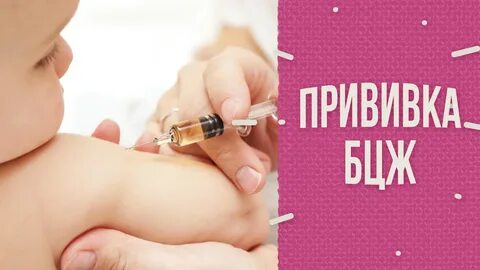 Вакцина бцж