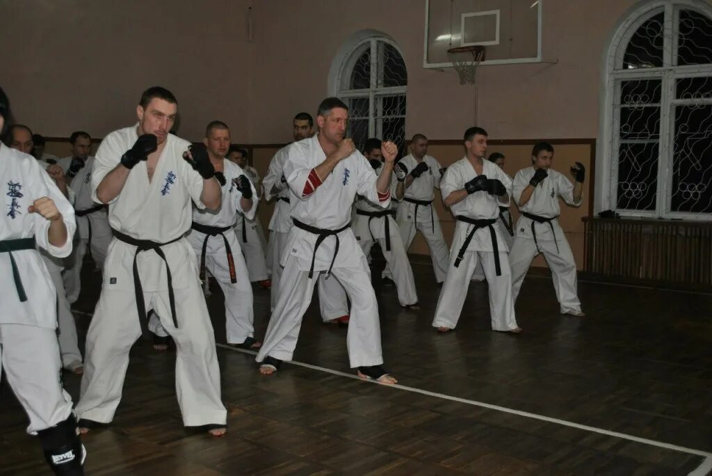 Максим кожевников карате. Эстетика каратэ вкф. Даянов артем карате киокушинкай. Боевые искусства. Каратэ киокушинкай и шотокан.